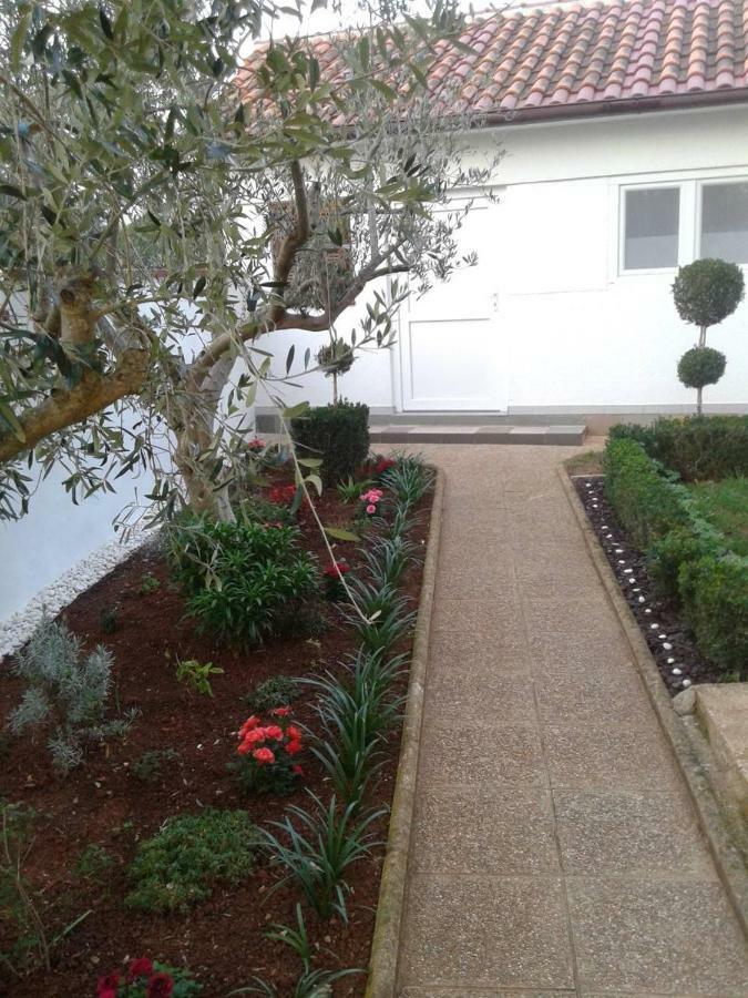 Mit- Mir Apartament *
